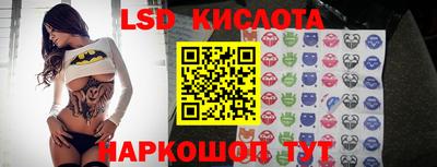 стаф Новодвинск