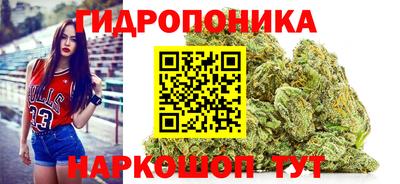 стаф Новодвинск
