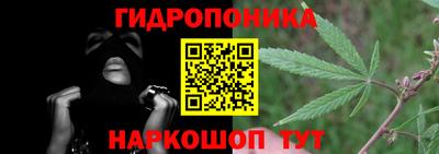 стаф Новодвинск