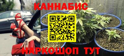 стаф Новодвинск
