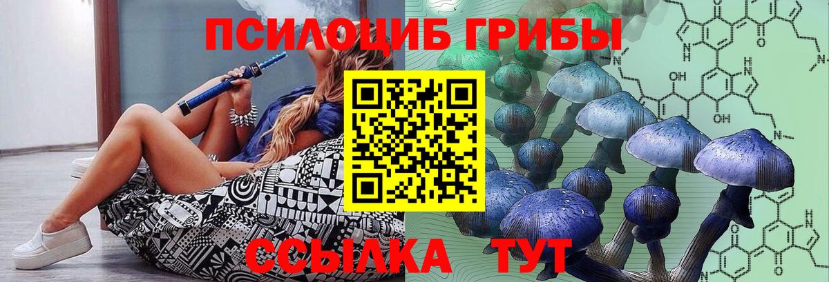 Псилоцибиновые грибы Magic Shrooms  Вход с VPN  Славгород 