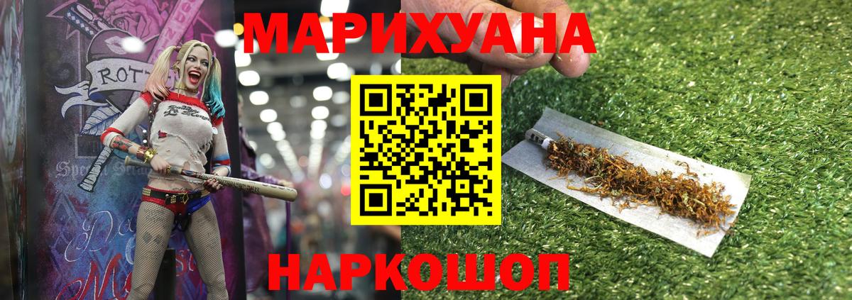 Канабис конопля Славгород